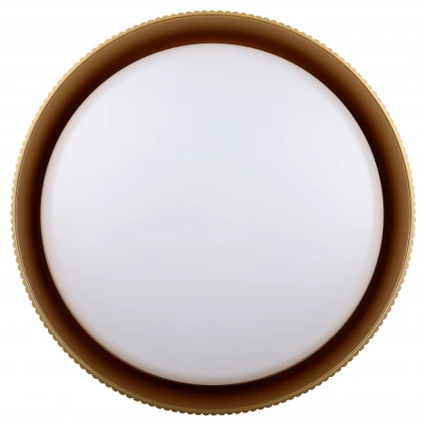 Потолочный светильник светодиодный с регулировкой цветовой температуры ЭРА SPB-6 Bella 48W-3K-6,5K BK