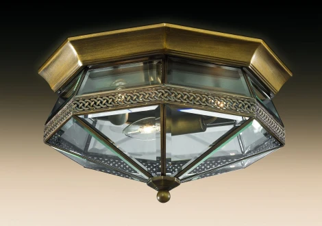 Потолочный светильник Odeon Light Lagon 2545/3