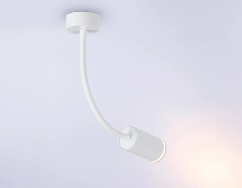 Настенно-потолочный светильник с выключателем Ambrella WALLERS FW2469 (220V)