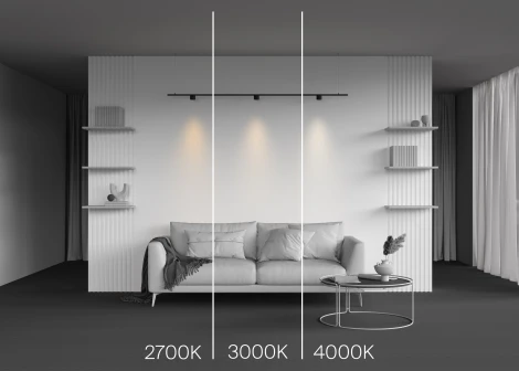 Трековый светильник магнитный 5W 24V Maytoni Alfa S TR188-1-5W2.7K-M-B (LED, круглые)