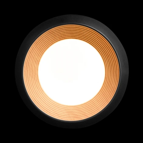 Потолочный светильник круглый Loft It Folk 10255/350 Black (LED, 220V, круглые)