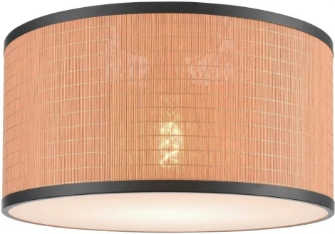 Потолочный светильник круглый Velante 568-707-01 (220V, круглые)