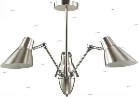 Потолочная люстра Lumion Vittam 3590/3C