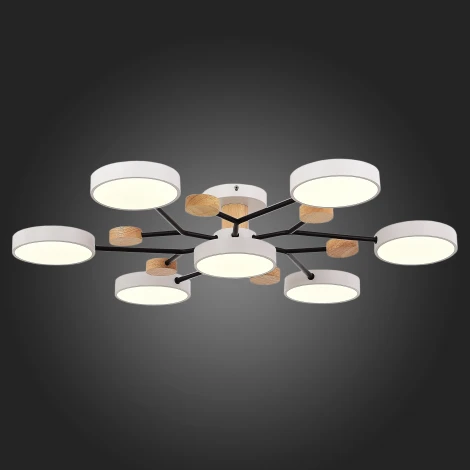 Потолочная люстра на штанге Evoluce Faema SLE6006-502-07 (LED, 220V, круглые)