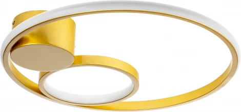 Потолочная люстра светодиодная с пультом Ritter 51654 9