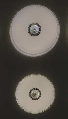 Настенно-потолочный светильник Sonex Lavora 2044/DL