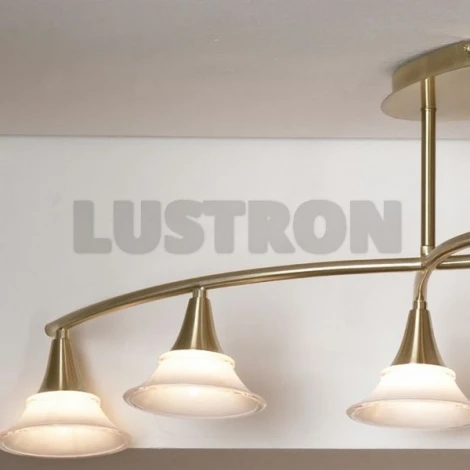 Потолочный светильник Lussole Marche LSC-2409-06