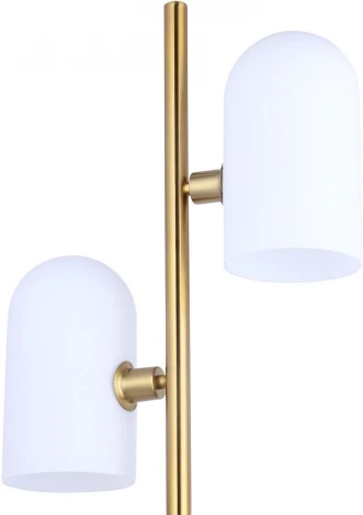 Торшер Arte Lamp Cassel A5454PN-2PB