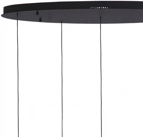 Подвесной светильник Lumien Hall Danay LH8027/5P-BK-PBK