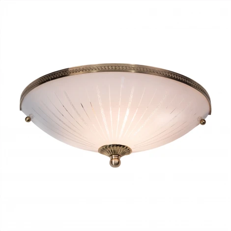 Настенный светильник Citilux 912 CL912321