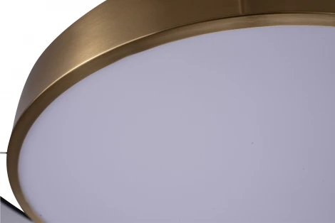 Потолочный светильник круглый со спотами Zortes Bella ZRS.27510.05 (LED, 220V, круглые)