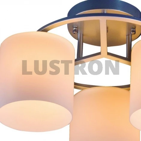 Потолочная люстра ST Luce SL542 SL542.502.03