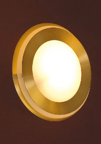 Настенно-потолочный светильник Lussole Reggiani LSC-0411-01