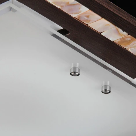 Настенно-потолочный светильник Freya Simmetria FR4810-CL-03-BR