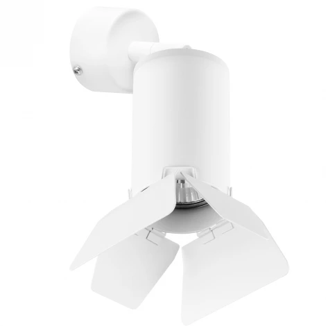 Спот Lightstar Rullo RB436436 (220V)