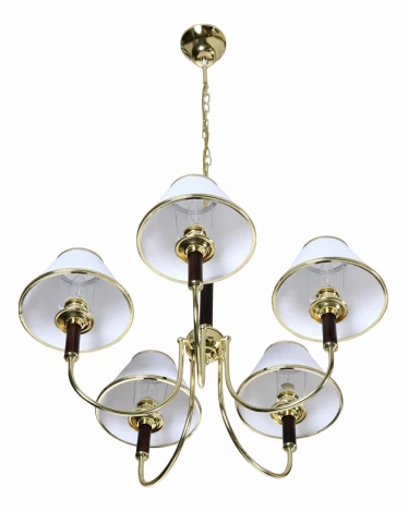 Подвесная люстра Arte Lamp Cathrine A3545LM-5GO