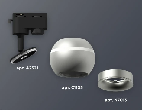 Трековый светильник Ambrella Track System XT1103020 (220V, шар)