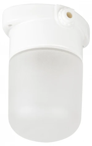 Настенный светильник влагозащищенный ЭРА НББ 02 НББ 02-60-001