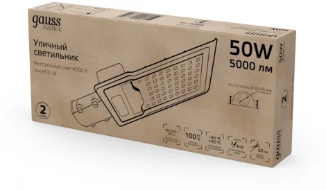 Уличный консольный светильник светодиодный Gauss Avenue 629534250 LED G2 IP65 50W 5000lm 4000K (220V)