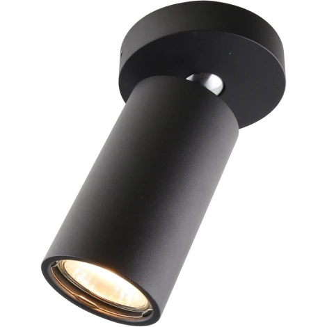 Спот карданный Divinare Gavroche Volta 1968/04 PL-1 (220V, круглые)