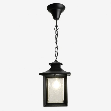 Уличный подвесной светильник Feron Брюссель PL555 48335 60W E27 черный (220V, на цепи, IP44)