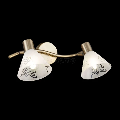 Спот Freya Paola FR7001WL-02BZ