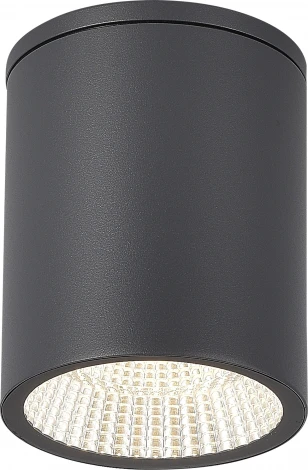 Потолочный уличный светильник ST-Luce Tubo SL9514.712.01 серый/белый LED 1*12W (220V, круглые, IP65)