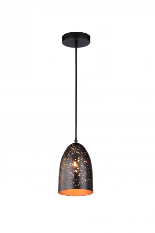 Подвесной светильник Arte Lamp Buchino A1615SP-1BK