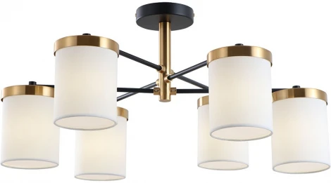 Потолочная люстра на штанге Arte Lamp Modello A4099PL-6BK (220V)