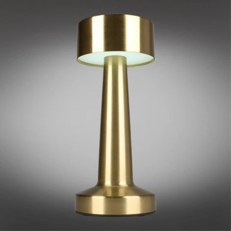 Настольная лампа светодиодная с выключателем Aployt Perrayn APL.671.04.01 (220V, круглые)