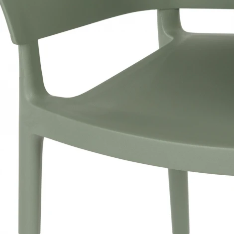 Обеденный стул Grassy COSMO арт.363-APP