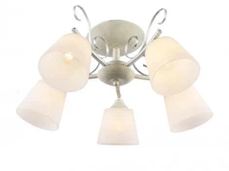 Потолочная люстра J-Light Bowi 1059/5C