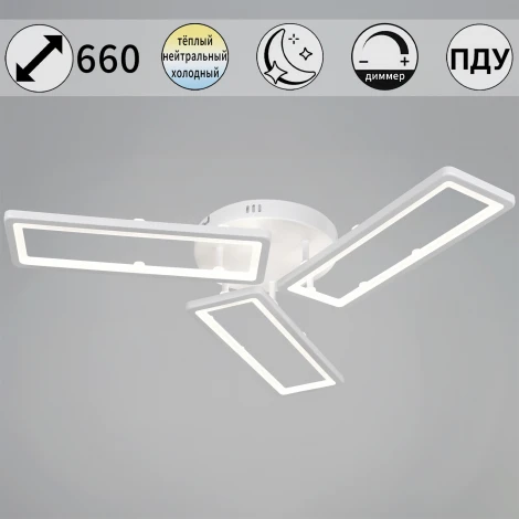 Потолочная люстра светодиодная на штанге с пультом с регулировкой цветовой температуры, яркости и ночным режимом Reluce 03629-0.3-03D WH