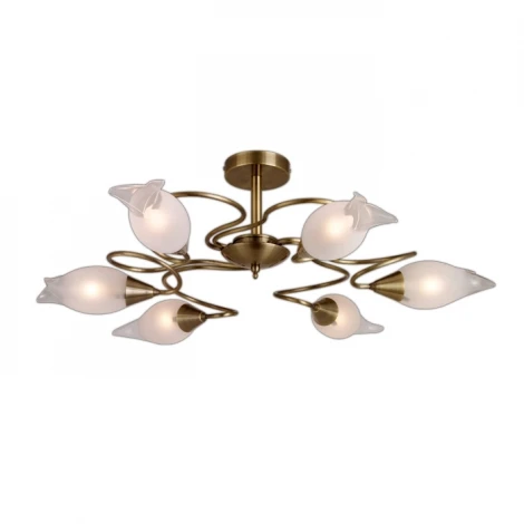 Потолочная люстра Odeon Light Ammania 1319/6