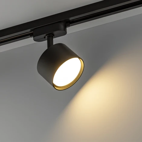 Трековый светильник однофазный 220V Ritter Artline 59858 3