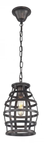 Подвесной светильник Favourite Gitter 1504-1P
