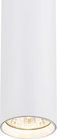 Трековый светильник однофазный Escada 20001 20001TRP/01 SWH 1x50Вт GU10, металл, белый матовый (220V, круглые)