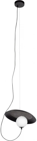 Подвесной светильник Loft It Wonders 10237P Black (220V, на тросе, шар)