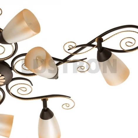 Потолочная люстра MW-Light Аида 323014309