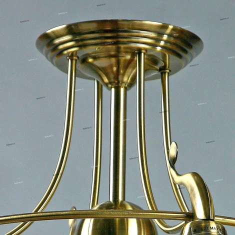 Brizzi Almeria MA02401CB/004 Bronze