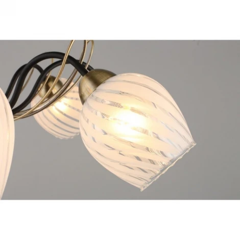 Потолочная люстра Omnilux 655 OML-65507-08