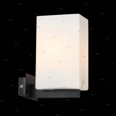 Бра ST Luce Caset SL541.401.01