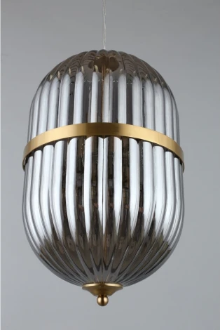 Подвесной светильник Aployt Ludovica APL.860.06.06 (220V, на проводе, круглые)