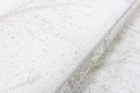 Обои виниловые Erismann Millennium 60016-02 10,05 x 1,06 м