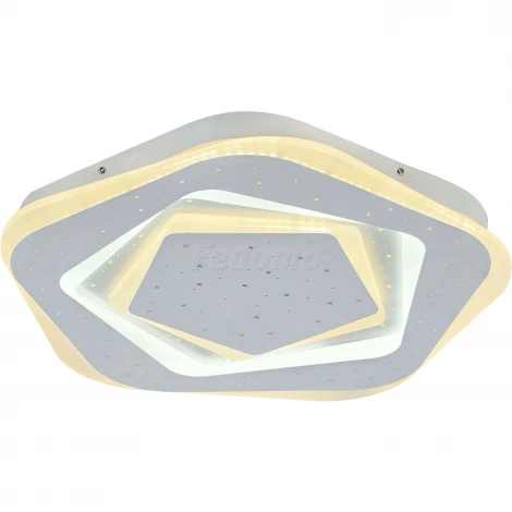 Потолочный светильник F-Promo Ledolution 2281-5C