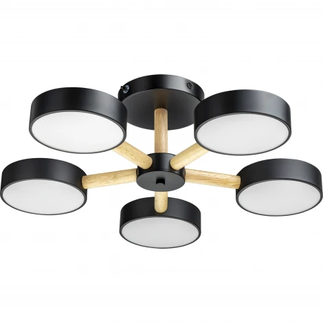 Потолочная люстра светодиодная на штанге с ДУ Ritter Scandia 51592 4