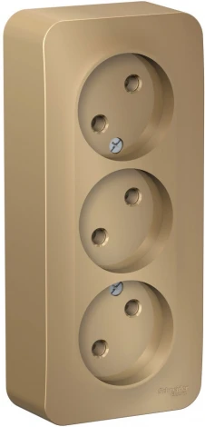 Розетка накладная тройная без заземления (титан) Systeme Electric Blanca BLNRA000314