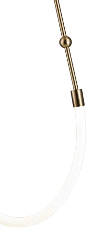 Подвесной светильник с гибким неоном Indigo Corda V000062L (регулировка яркости, LED, 220V, пульт управления, на проводе)