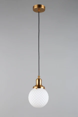 Подвесной светильник Aployt Sofi APL.302.06.01 (220V, на проводе, шар)