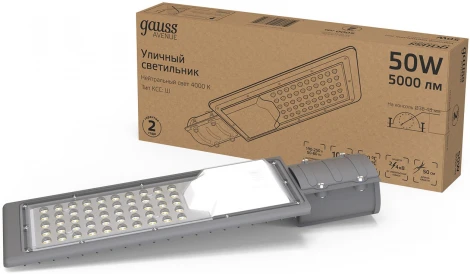 Уличный консольный светильник светодиодный Gauss Avenue 629534250 LED G2 IP65 50W 5000lm 4000K (220V)